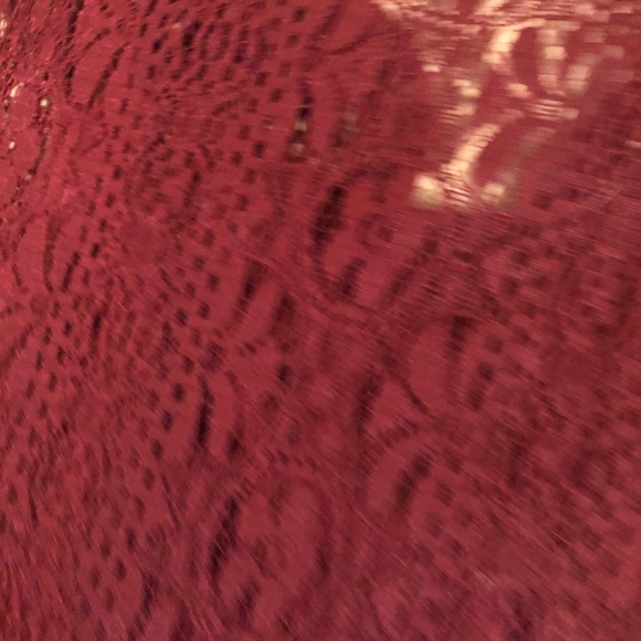 Abercrombie and Fitch Lace Dress - Picture 2 of 3